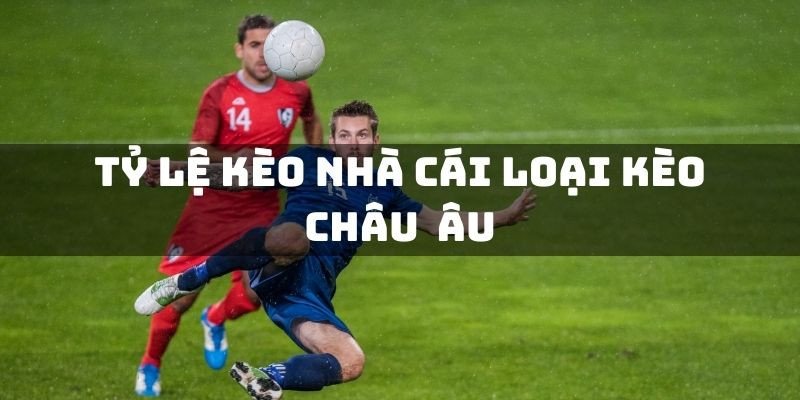 Bán Đất Đồ Sơn Dưới 300 Triệu Hải Phòng Bí Mật Soi Kèo Bách Chiến Bách Thắng